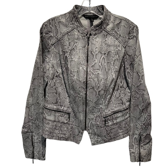 White House Black Market Jackets & Blazers - White House Black Market Python jacket and matching Pants